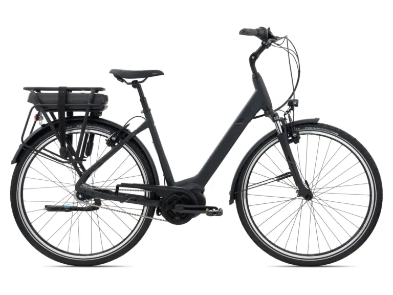 Seitenansicht eines mattschwarzen Giant Entour E+ 1 RT E-Bikes mit Gepäckträger und Akku.