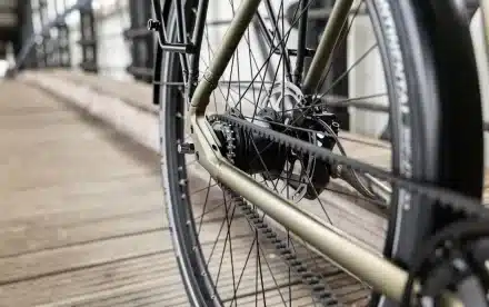 Detailaufnahme des Stevens Aviolo 5.2 Forma Fahrrads, Fokus auf den Riemenantrieb mit Gates CDN Carbon Drive und die Shimano Nexus 8-Gang-Nabenschaltung am Hinterrad.