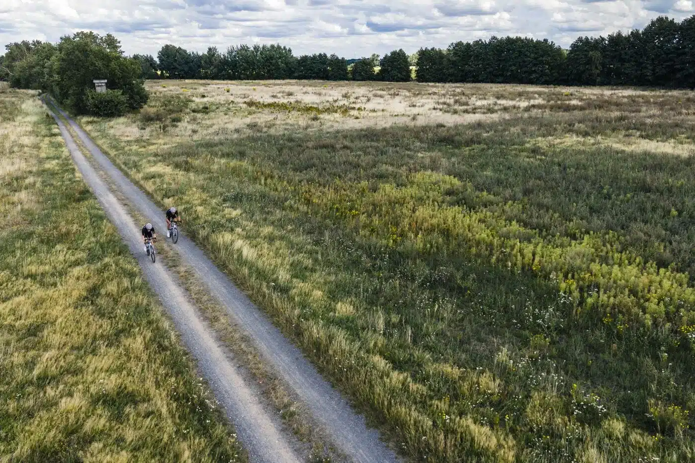 Zwei Radfahrer fahren auf einem Feldweg durch eine Wiese.