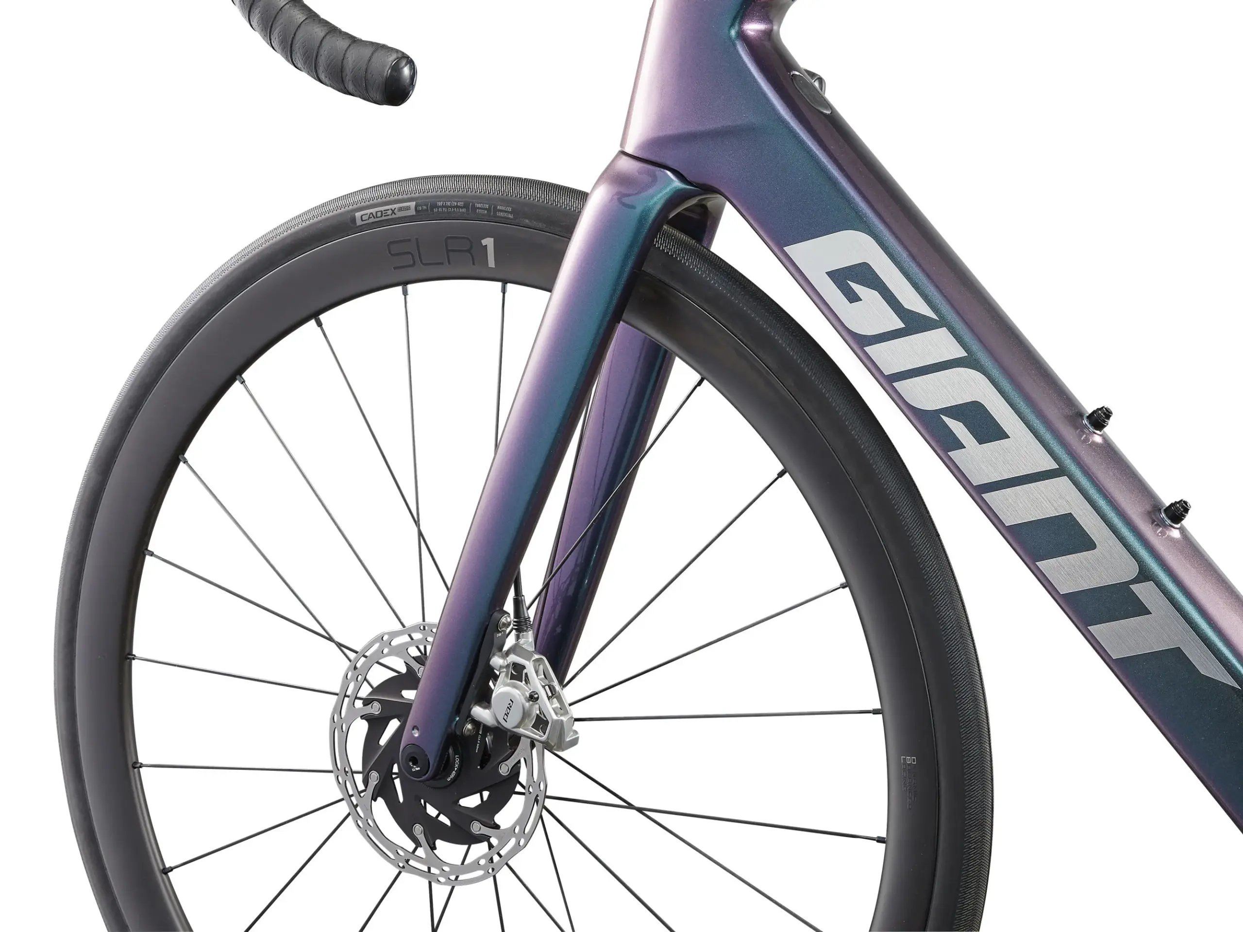 Detailaufnahme eines violett-grün schimmernden Giant Rennradrahmens mit Fokus auf die Vorderradgabel, die Scheibenbremse und das SLR 1 Laufrad.