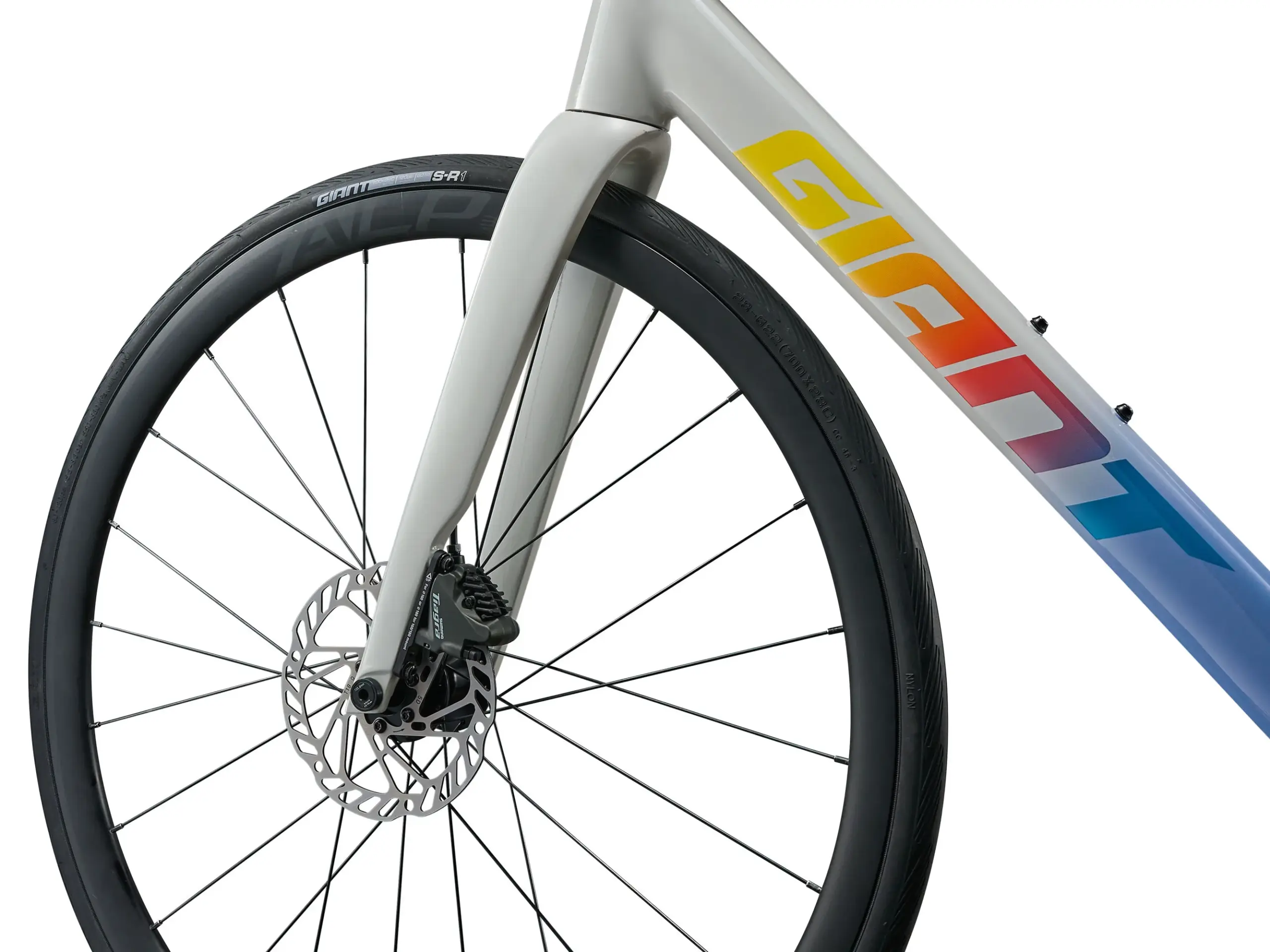 Vorderansicht des Giant Contend SL 1 Fahrrads mit Fokus auf das Rad, die Gabel und das Rahmenlogo.
