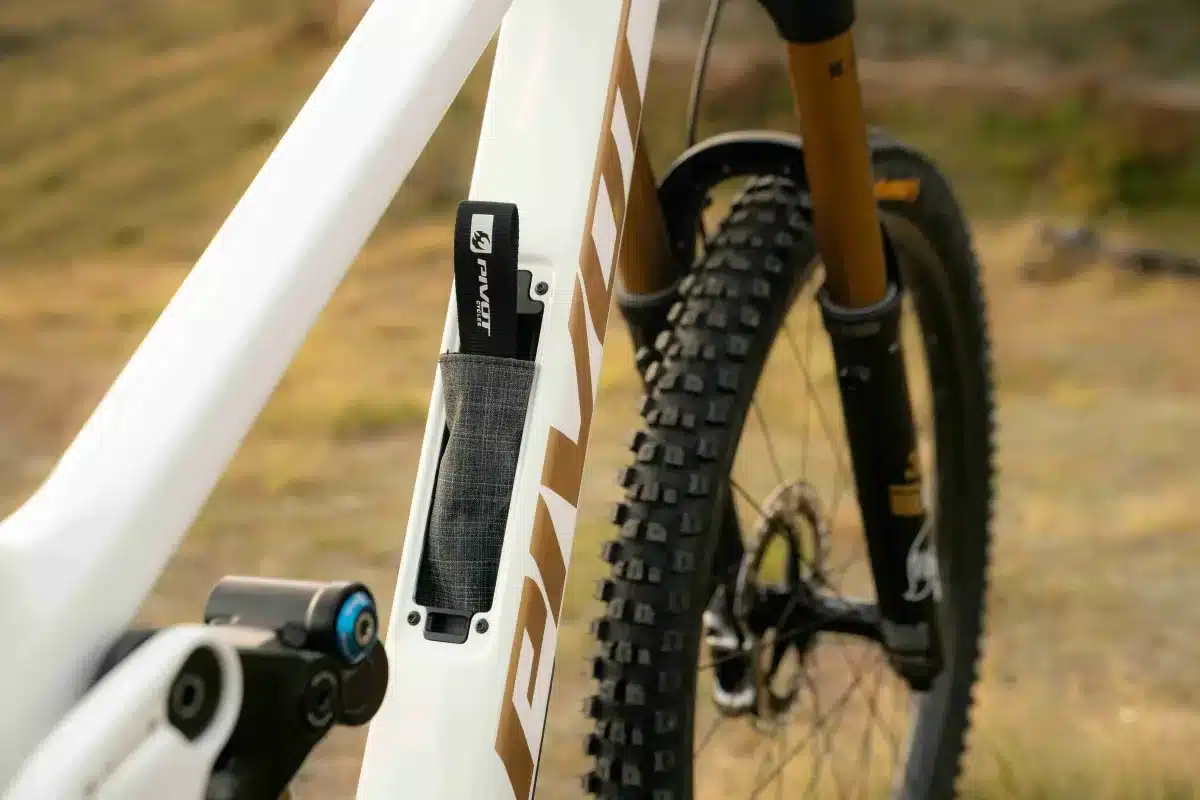 firebird photo gallery beauty 1 qkcviyjl 237695e73 e94829df2a468355