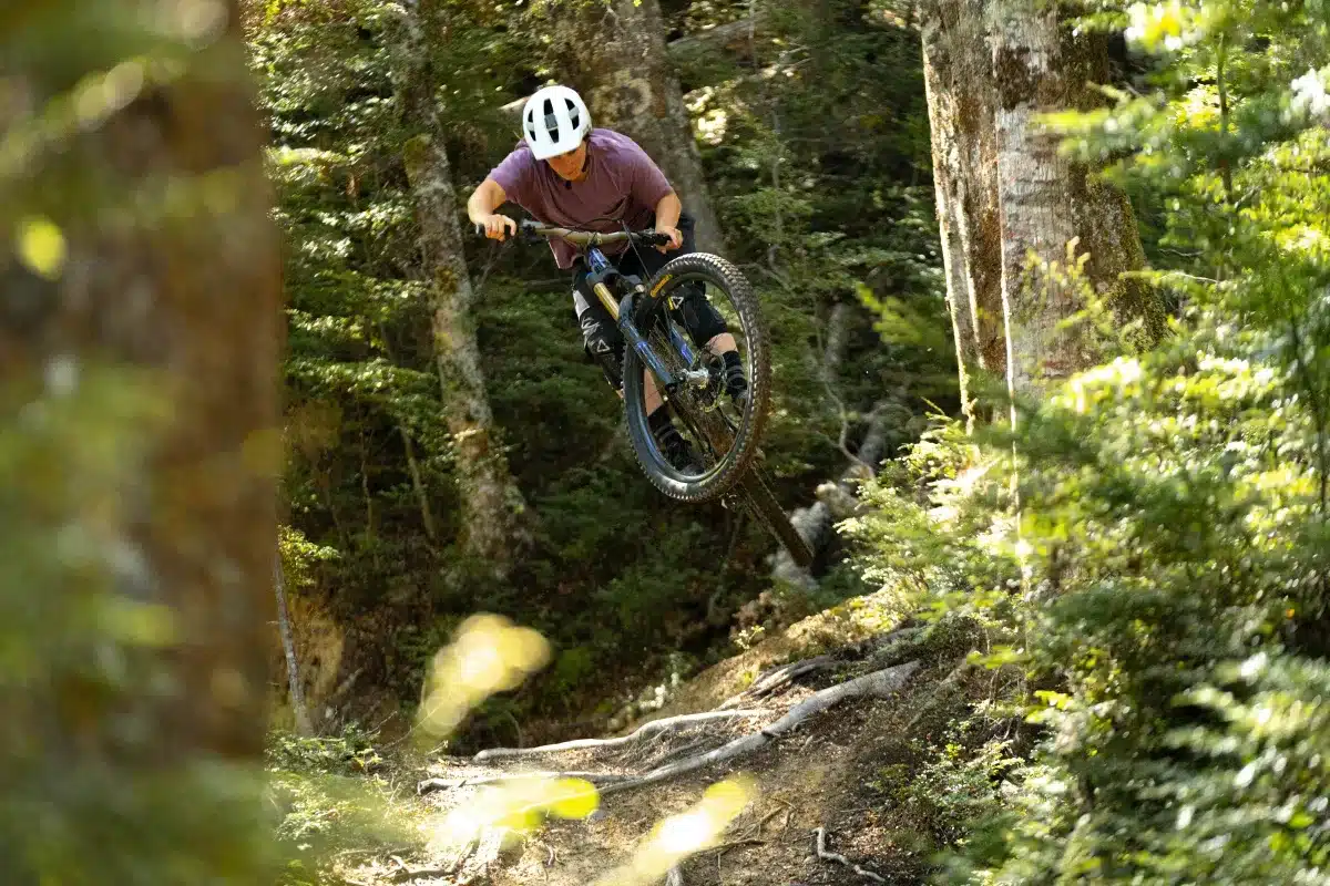 firebird queenstown pivotcycles 008 0ebfae868b990fe7