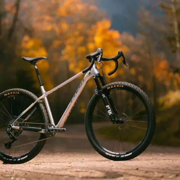 Ein silbernes Pivot LES SL Drop Bar Fahrrad mit 29-Zoll-Laufrädern und Federgabel steht auf einem herbstlich gefärbten Waldboden. Der Hintergrund zeigt Bäume mit buntem Laub.