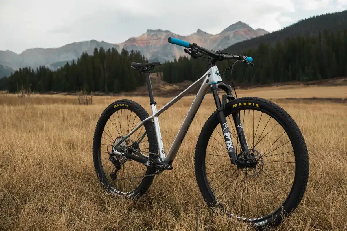 Ein silbernes Pivot Les SL Mountainbike mit blauen Griffen steht in trockenem Gras vor einer Bergkette und Nadelbäumen.