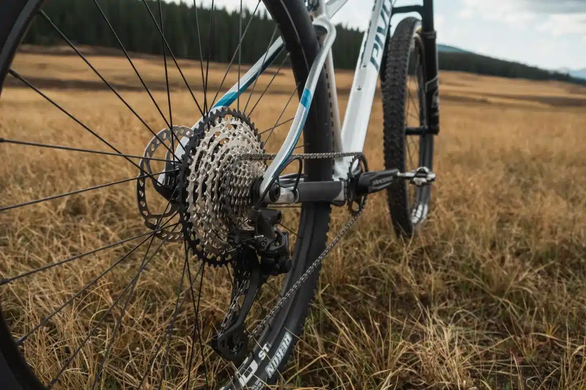 Detailansicht des Hinterrads eines Pivot Les SL Mountainbikes mit Fokus auf die Gangschaltung und Kassette, Hintergrund unscharfes Gras und Bäume.