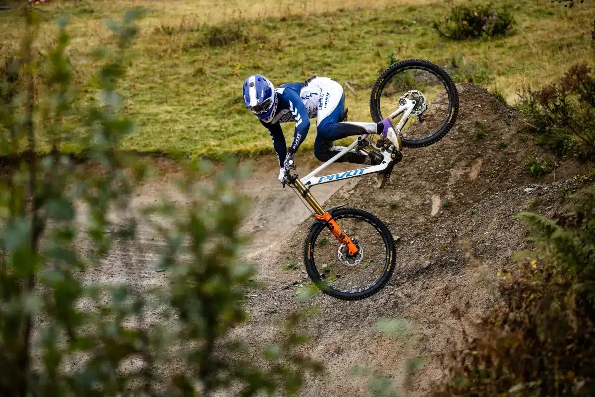 phoenix action carousel 1 3ddb7eb4f14e32e5