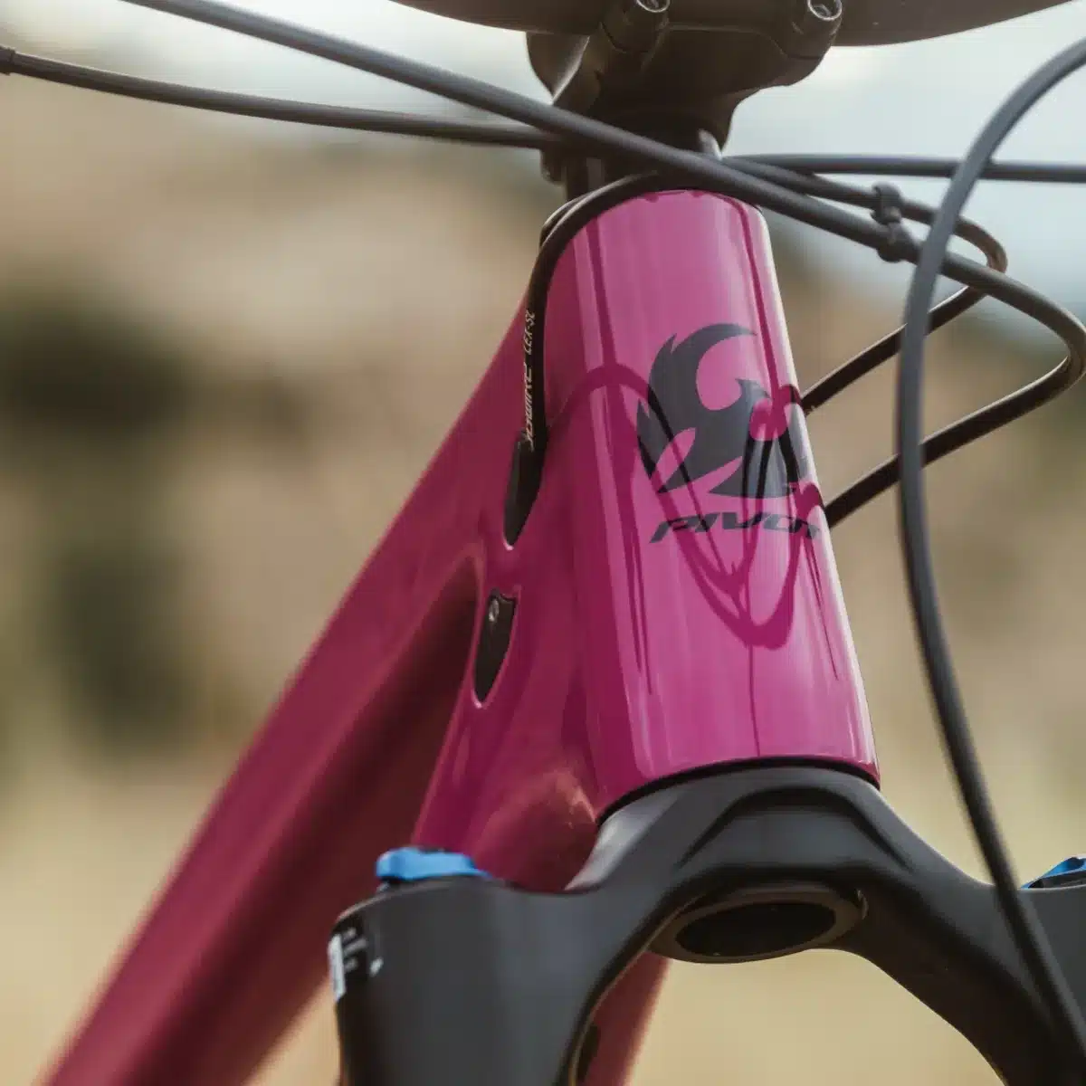 Nahaufnahme des pinkfarbenen Rahmens eines Pivot Shadowcat Mountainbikes, Fokus auf das Steuerrohr mit dem schwarzen Pivot-Logo und den Angussschrauben sowie der oberen Gabelbrücke.