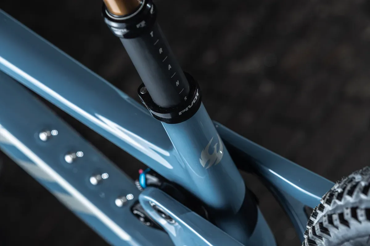 Detailaufnahme eines blauen Pivot Shadowcat Mountainbike-Rahmens, zeigt das Logo und den Dämpfer.