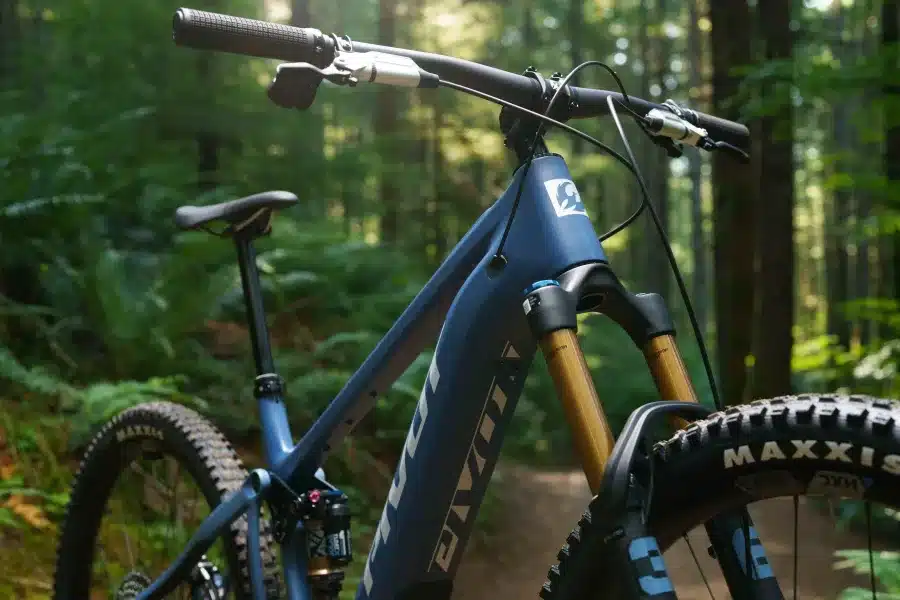shuttleam photo gallery beauty 3 ey3f5g3f b055755977d8a51f