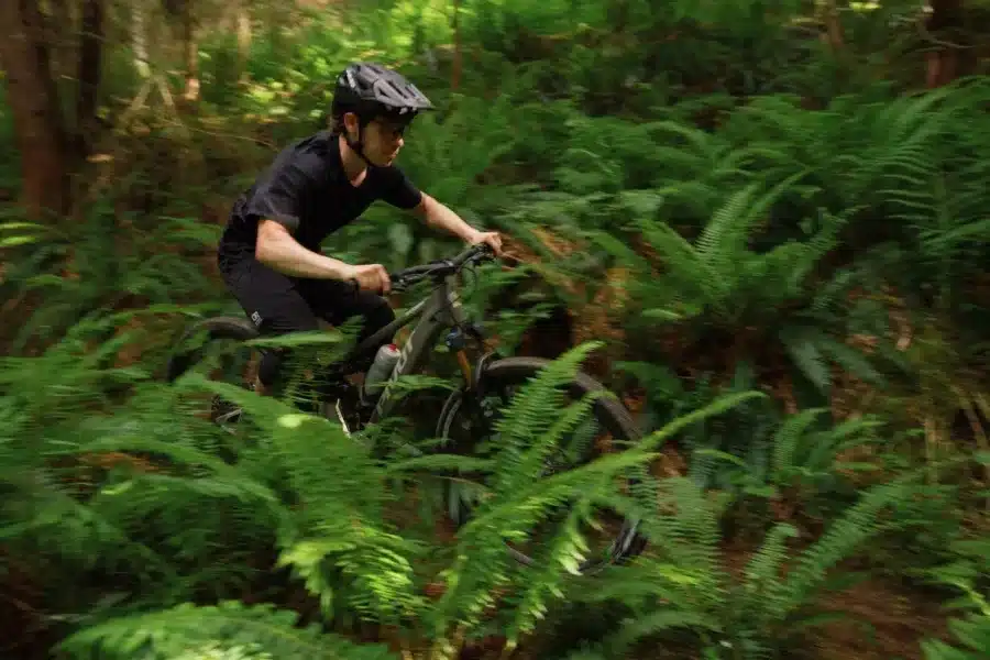Ein männlicher Mountainbiker in voller Fahrt auf einem E-Mountainbike in einer bewaldeten Umgebung, umgeben von üppigen grünen Farnen.