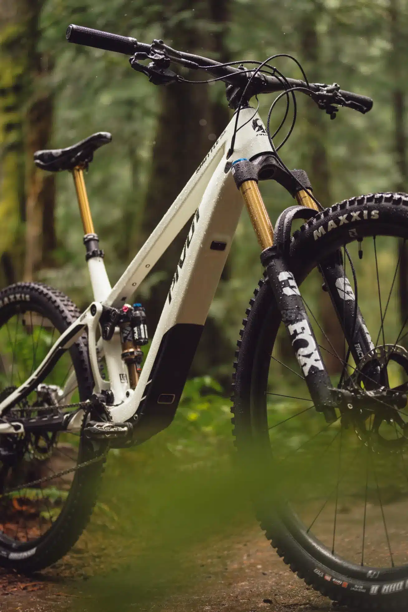 Weißes Pivot Shuttle SL E-Mountainbike mit goldener Federgabel und schwarzen Reifen im nassen Wald.