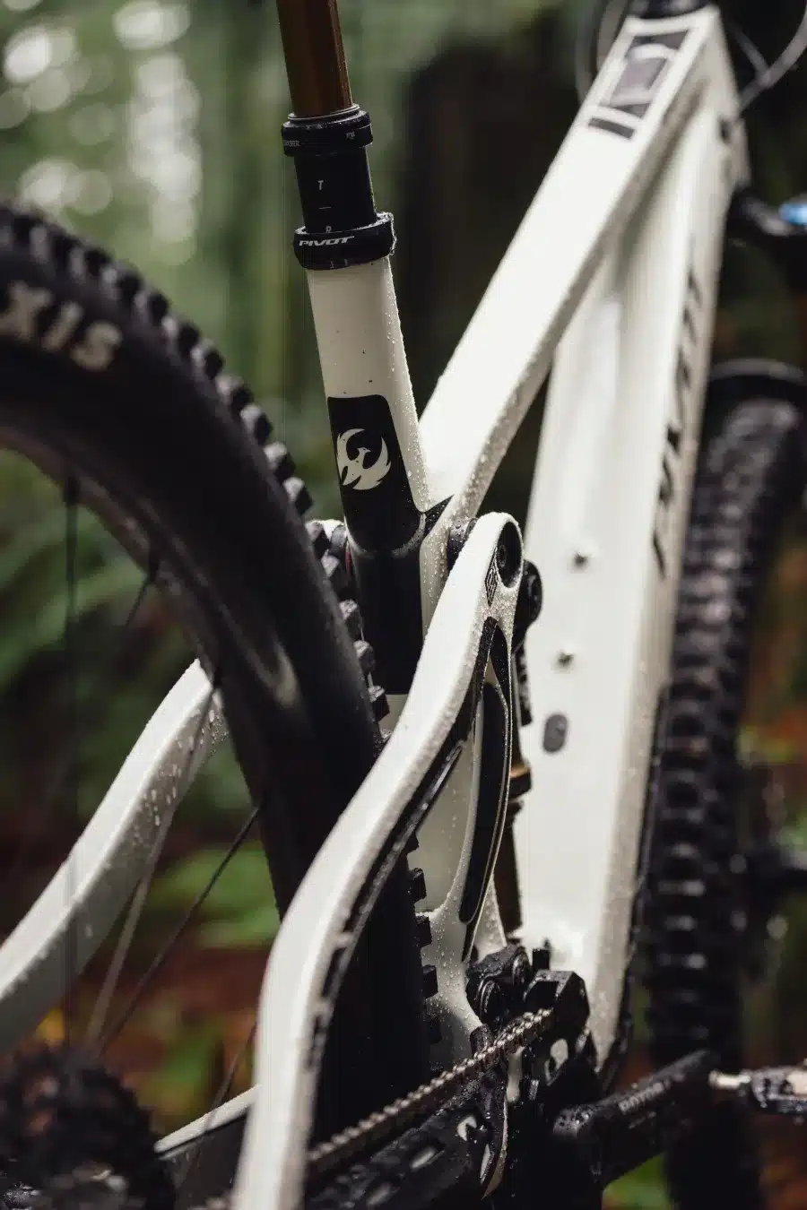 Detailaufnahme eines weißen Pivot Shuttle SL Mountainbikes mit Fokus auf den Hinterbau, die Kette und die Dämpferaufnahme.