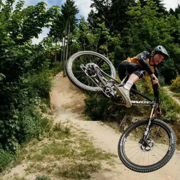Mountainbiker springt mit einem Pivot Switchblade Fahrrad über eine Schanze, umgeben von grüner Natur und einem Waldweg.