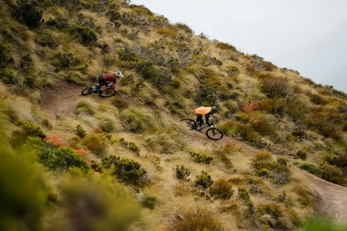 Zwei Mountainbiker absolvieren eine Abfahrt auf einem bergigen Trail, der von dichtem, grasbewachsenem Gelände gesäumt ist.