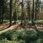 Zwei Personen auf E-Bikes im Wald