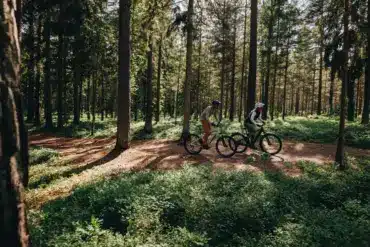 Zwei Personen auf E-Bikes im Wald