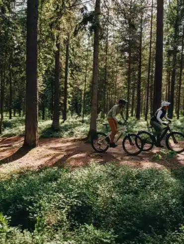 Zwei Personen auf E-Bikes im Wald