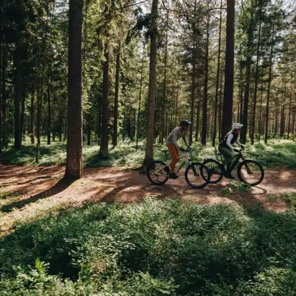 Zwei Personen auf E-Bikes im Wald