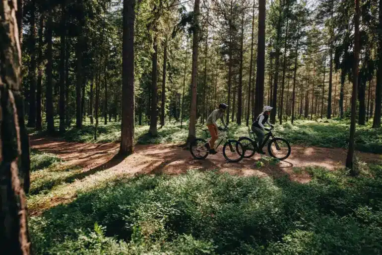 Zwei Personen auf E-Bikes im Wald