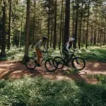 Zwei Personen auf E-Bikes im Wald
