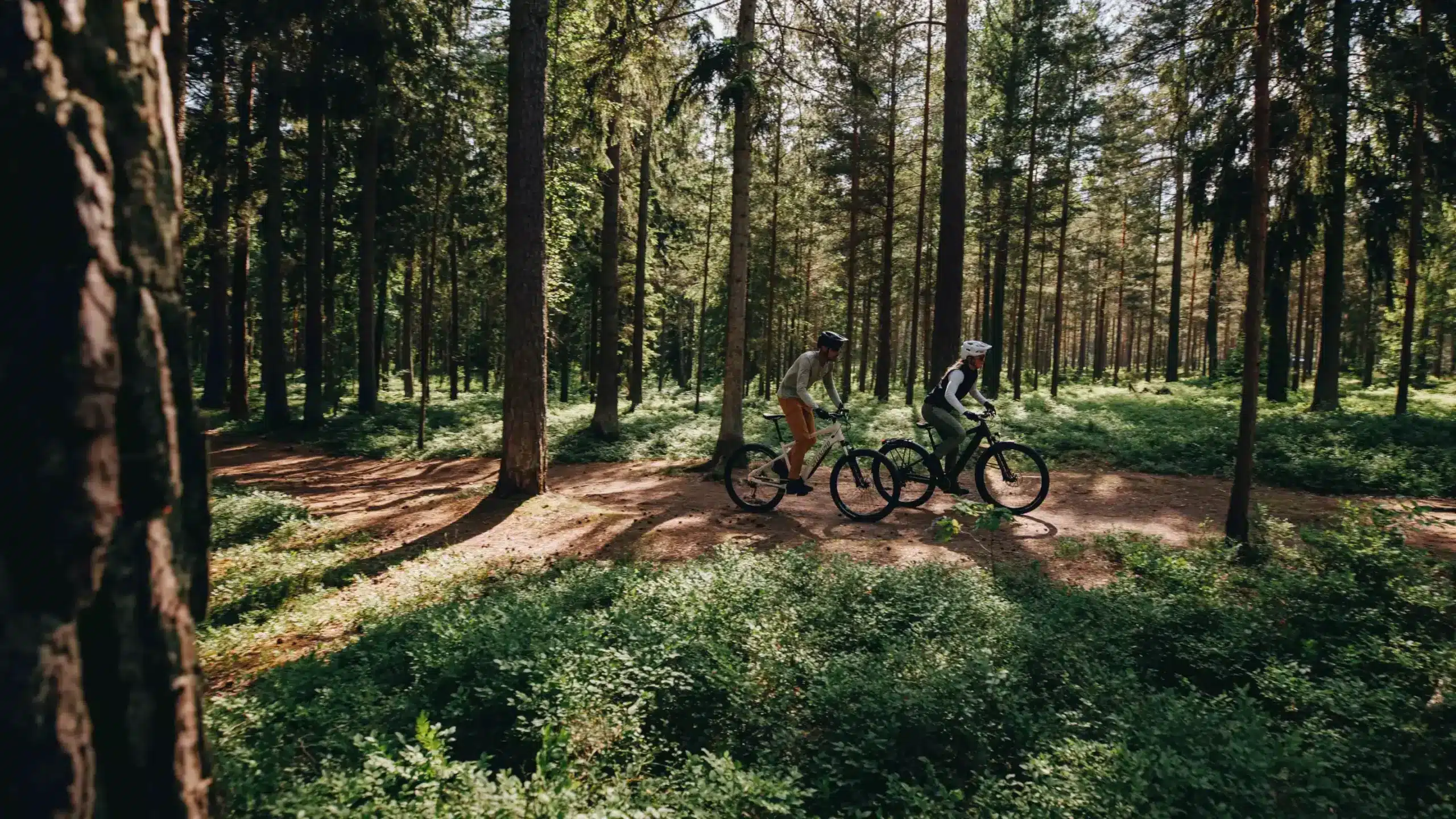 Zwei Personen auf E-Bikes fahren auf einem Waldweg.