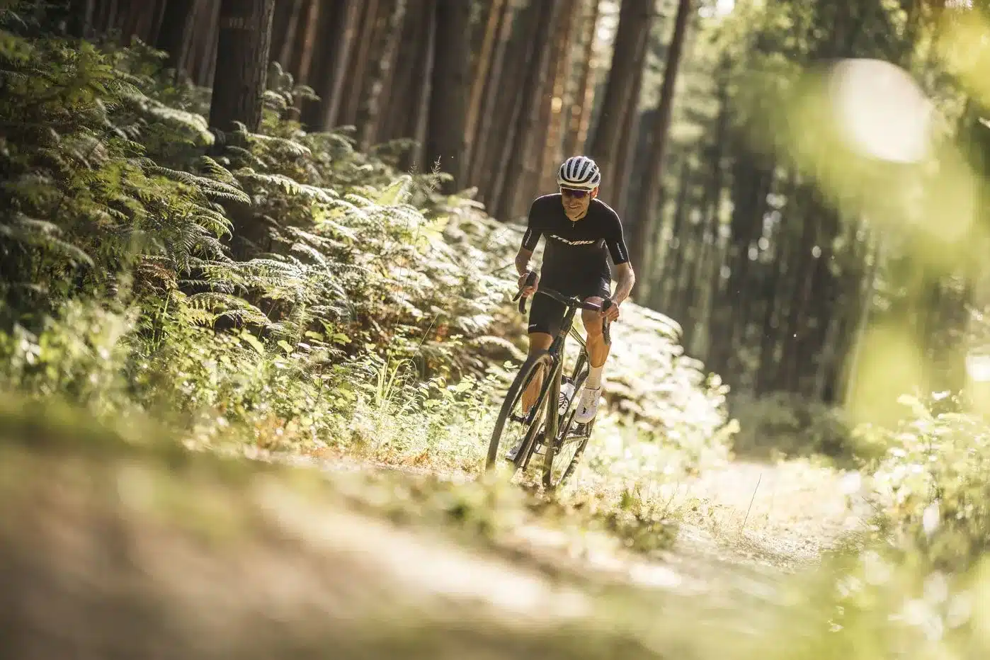 Radfahrer fährt mit Stevens Camino RS Gravelbike auf einem schmalen Waldweg, umgeben von Bäumen und Farnen.