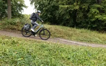 Person fährt ein STEVENS E-Triton 7.8.1 Plus HT E-Bike mit Gepäcktaschen auf einem Schotterweg im Wald.