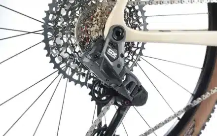 Nahaufnahme des hinteren Schaltwerks und der Kassette eines leichten Carbon-Hardtails.