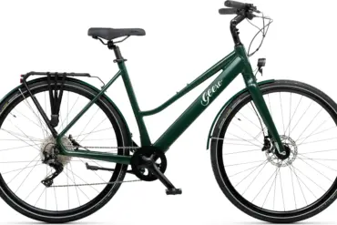 Ein dunkelgrünes Geero FLEX E-Bike mit gebogenem Lenker, integriertem Akku, Gepäckträger und schwarzen Anbauteilen steht auf weißem Hintergrund.