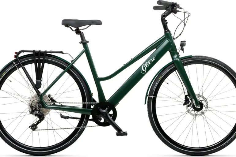Ein dunkelgrünes Geero FLEX E-Bike mit gebogenem Lenker, integriertem Akku, Gepäckträger und schwarzen Anbauteilen steht auf weißem Hintergrund.