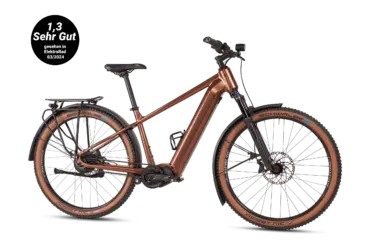 Ein bronzefarbenes MAXX Pacemaxx ELS Tour SUV-E-Bike mit Gepäckträger, Schutzblechen und Federgabel.