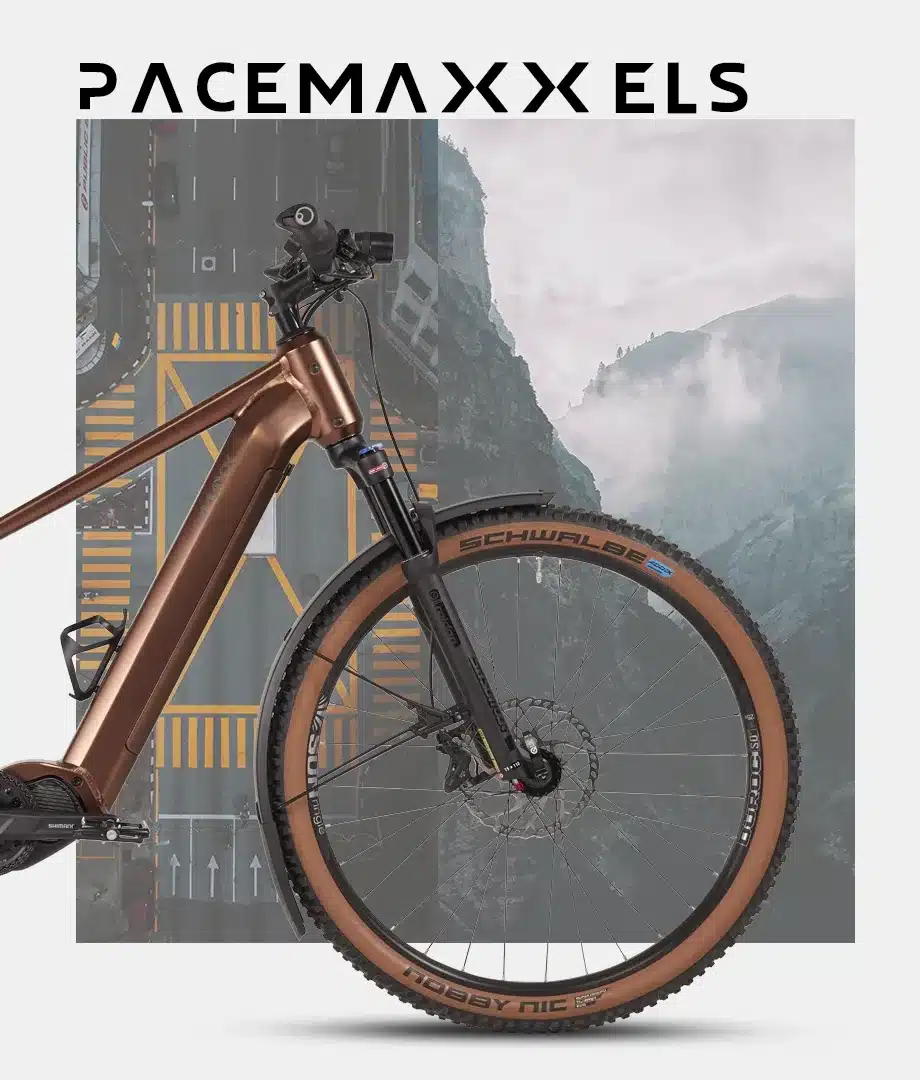 Vorderansicht des MAXX Pacemaxx ELS Tour E-Bikes in Braun, mit Berg- und Straßenhintergrund, auf dem vorderen Schutzblech steht SCHWALBE.