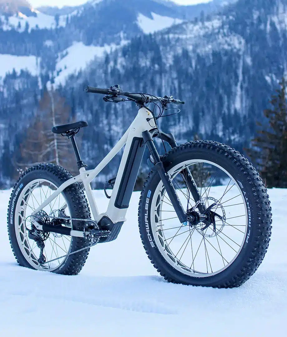 Ein weißes MAXX Jagamoasta ELS SH E-Fatbike mit breiten Schwalbe Al Mighty Reifen steht auf Schnee vor einer verschneiten Bergkulisse mit Bäumen.