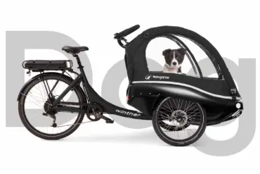 Schwarzes dreirädriges Kangaroo Luxe Dog Lastenrad mit einem kleinen Hund in der vorderen Kabine.
