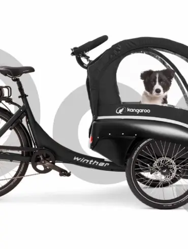 Schwarzes dreirädriges Kangaroo Luxe Dog Lastenrad mit einem kleinen Hund in der vorderen Kabine.