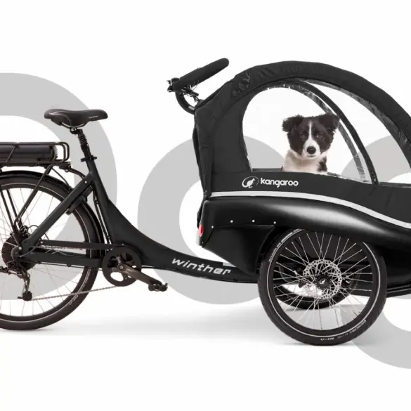 Schwarzes dreirädriges Kangaroo Luxe Dog Lastenrad mit einem kleinen Hund in der vorderen Kabine.