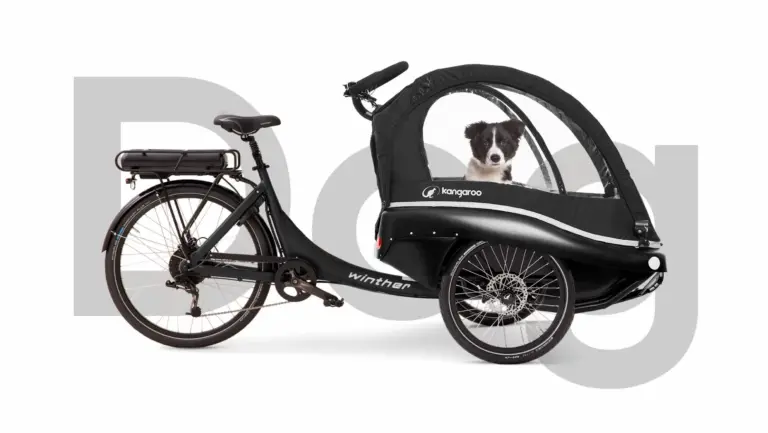 Schwarzes dreirädriges Kangaroo Luxe Dog Lastenrad mit einem kleinen Hund in der vorderen Kabine.