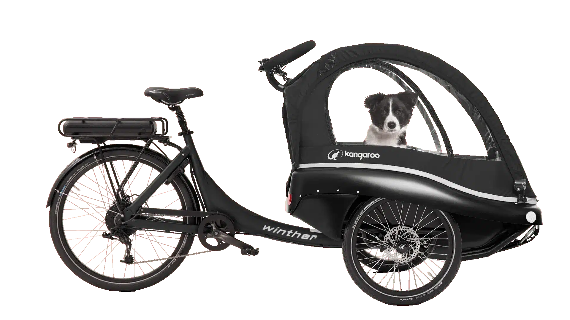 Schwarzes Kangaroo Luxe Dog Lastenrad mit einem Hund in der Transportkabine.