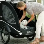 Frau hebt einen weißen West Highland Terrier Hund in die Kabine eines schwarzen Kangaroo Dog Lastenrads.