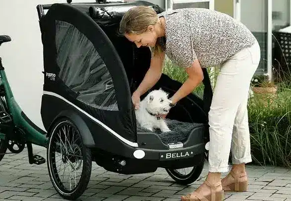 Frau hebt einen weißen West Highland Terrier Hund in die Kabine eines schwarzen Kangaroo Dog Lastenrads.