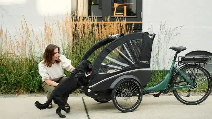 Frau kniet vor einem grünen Kangaroo Dog Lastenrad, während ein schwarzer Hund neugierig in die Kabine des Fahrrads schaut.