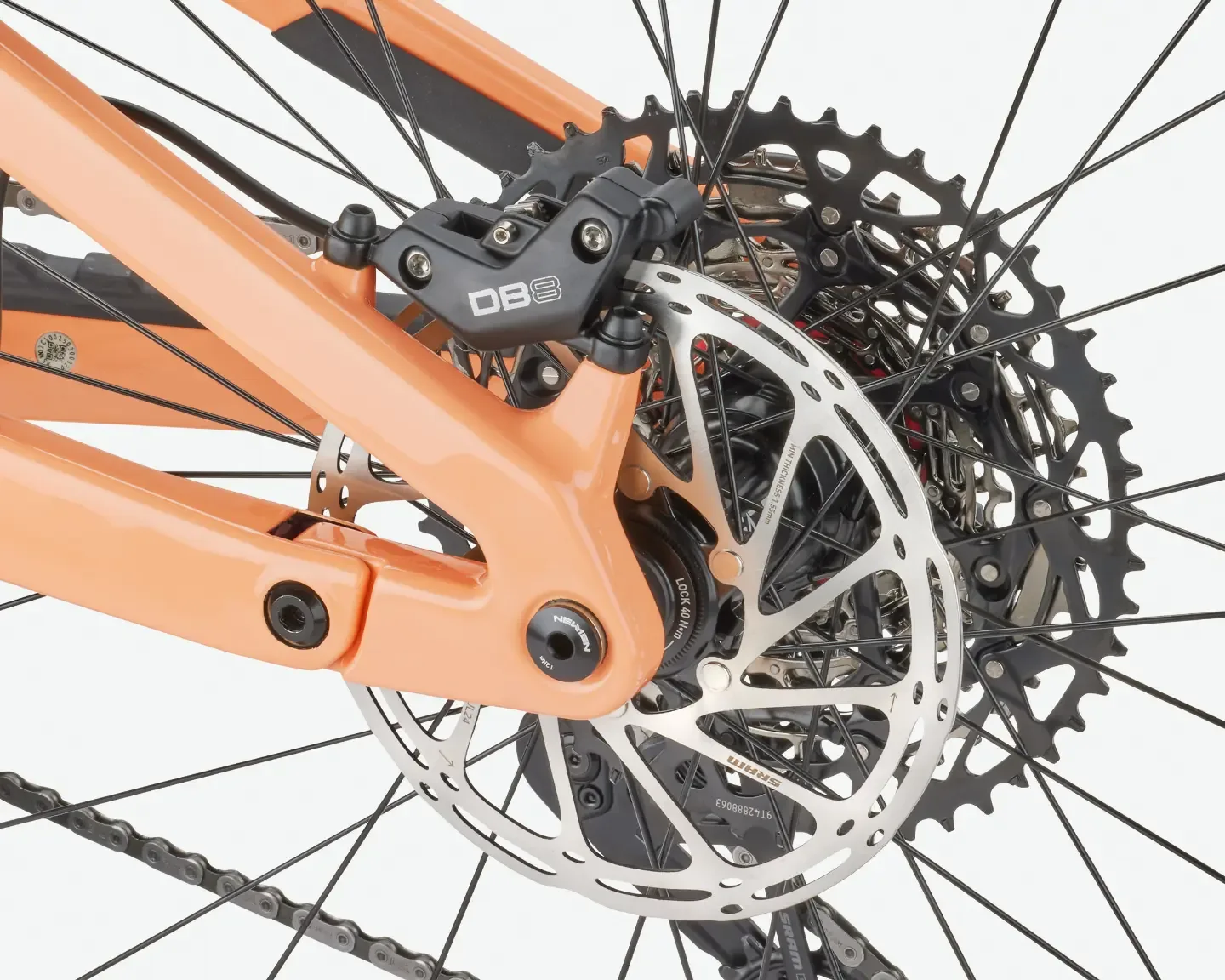 Nahaufnahme des Rose File Plus 70, Fokus auf die Hinterradbremse (Sram DB8) und die Kassette mit vielen Gängen.