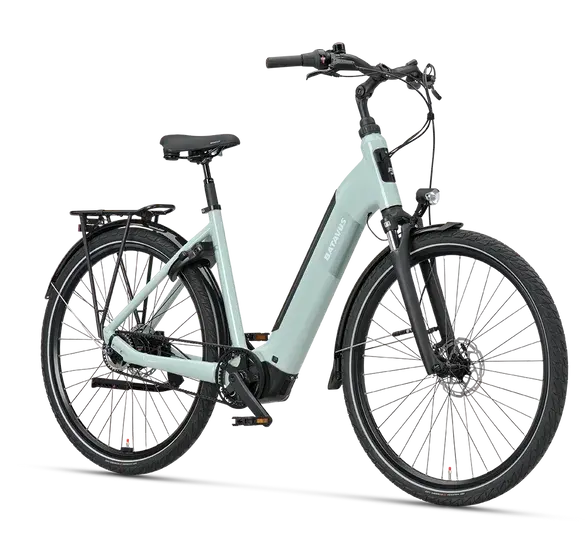 Hellgrünes Batavus Altura PT Pro Exclusive E-Bike mit tiefem Einstieg und Gepäckträger, von vorne seitlich fotografiert.