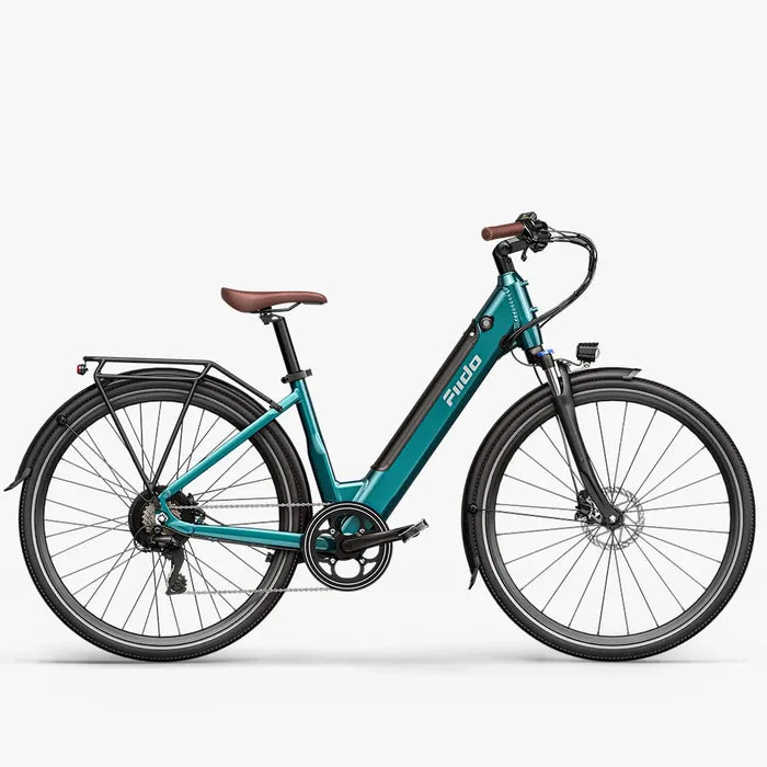 Türkisfarbenes Fiido C11 Pro E-Bike mit braunem Sattel und Griffen, ausgestattet mit Gepäckträger und Schutzblechen, abgebildet vor neutralem Hintergrund.