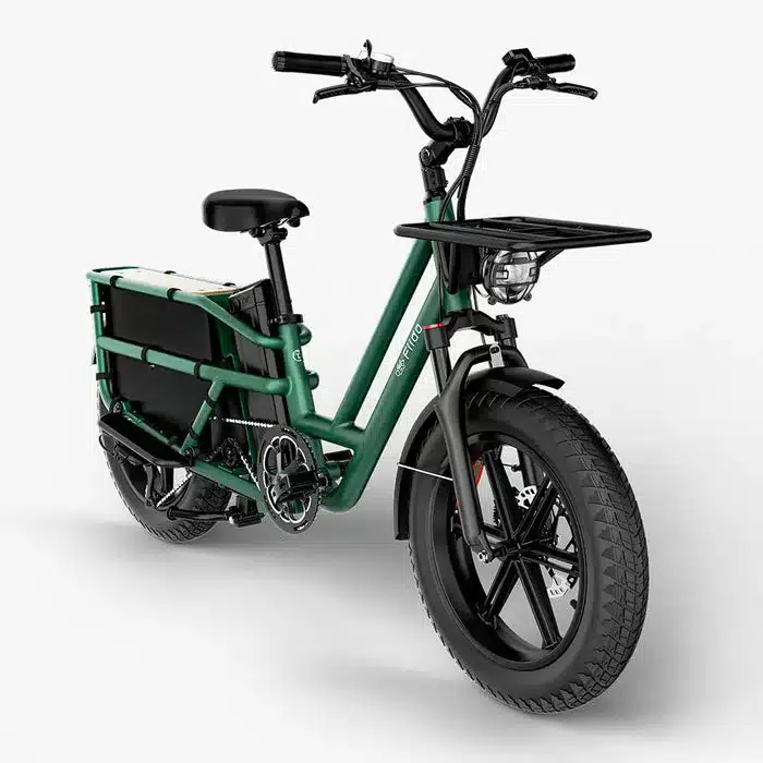 Grünes Fiido T2 Longtail E-Bike mit Frontkorb und Heckladung.