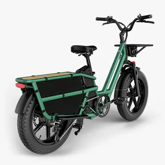 Grünes Fiido T2 E-Lastenrad von der Seite fotografiert, mit Fokus auf die große Ladefläche hinten und die breiten Fat-Reifen.