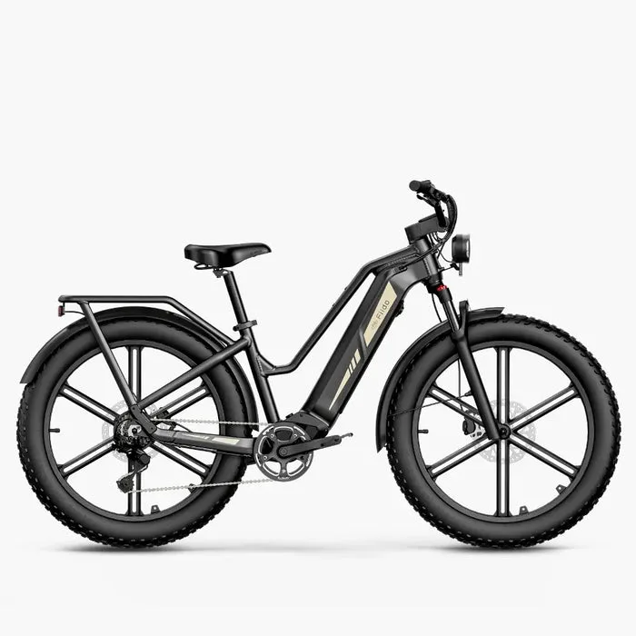 Schwarzes Fiido Titan Fatbike mit breiten Reifen und robustem Rahmen, das aufrecht steht. Das Fahrrad ist für Geländefahrten und den Transport von Lasten konzipiert.