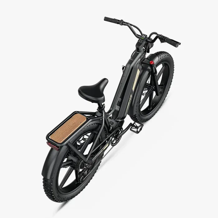 Schwarz lackiertes Fiido Titan E-Bike mit breiten Fat-Reifen, integriertem Gepäckträger und Holzakzent.