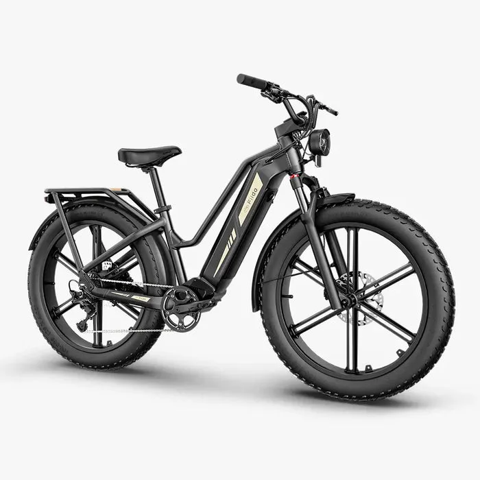 Seitenansicht eines schwarzen Fiido Titan Fatbike E-Bikes mit breiten Reifen, Gepäckträger und integrierter Batterie.